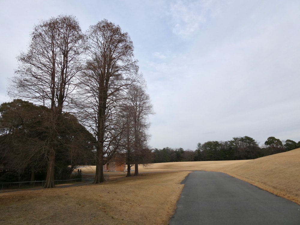 愛知県森林公園の写真 ©KKPCW(CC BY-SA 4.0)