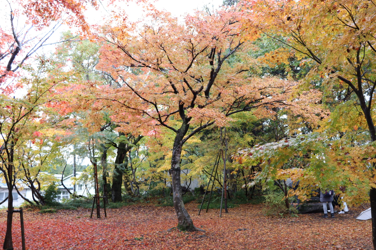 もみじ園の写真 ©AT(CC BY-SA 4.0)