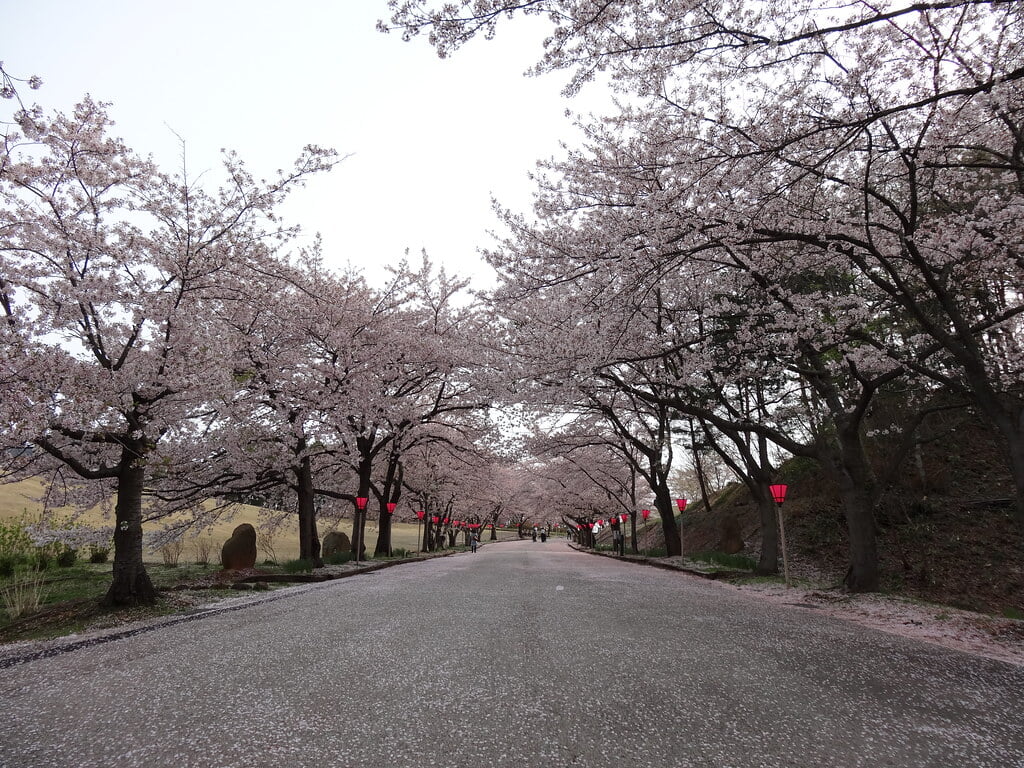 柳田植物公園の写真 ©inazakira(CC BY-SA 2.0)