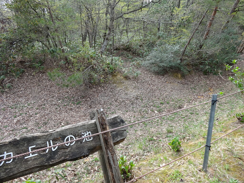 柳田植物公園の写真 ©inazakira(CC BY-SA 2.0)