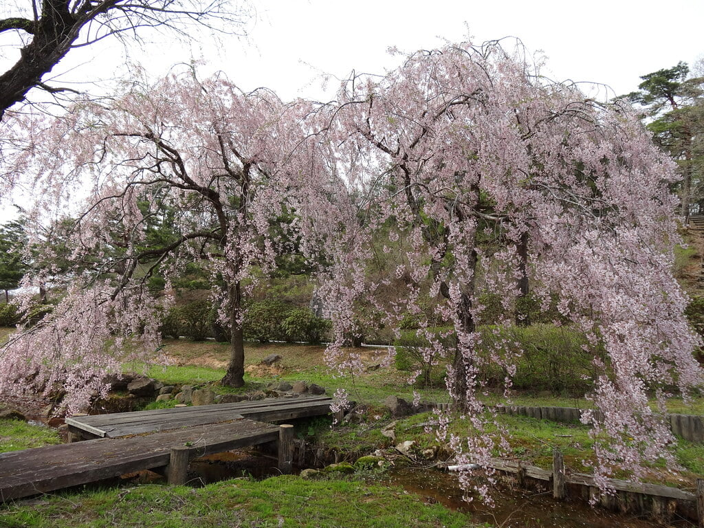 柳田植物公園の写真 ©inazakira(CC BY-SA 2.0)