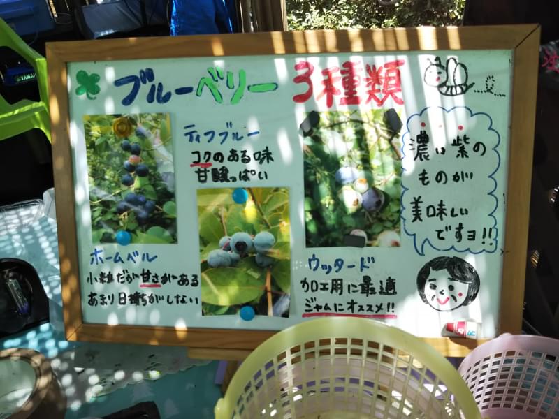広石農園の写真 