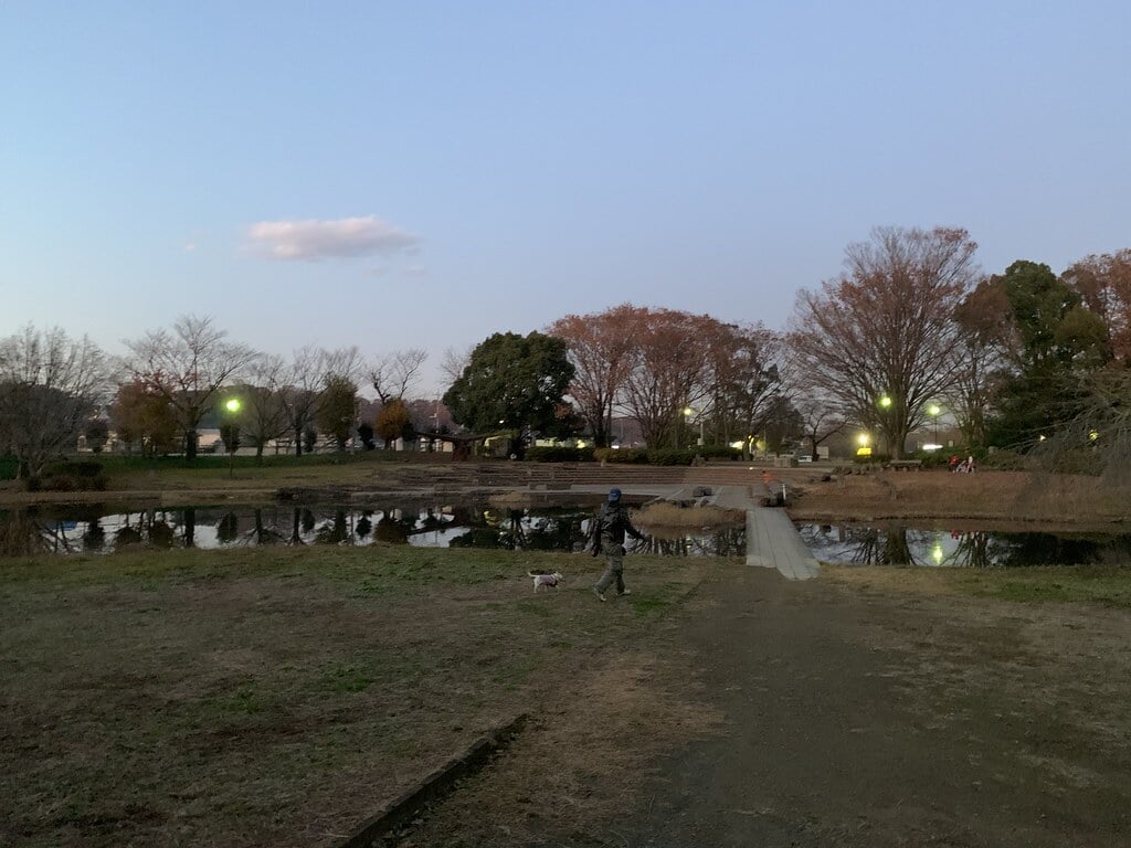 清瀬金山緑地公園の写真 ©Mikhail Kotykhov(CC BY 2.0)