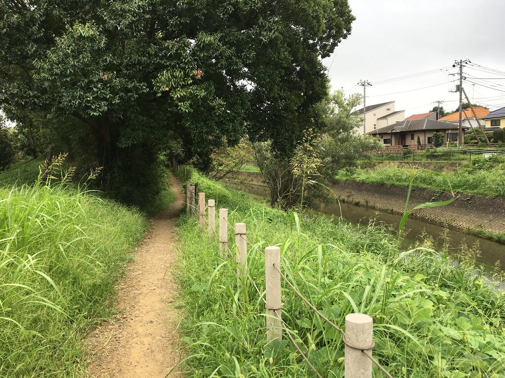 清瀬金山緑地公園の写真 ©Mikhail Kotykhov(CC BY 2.0)