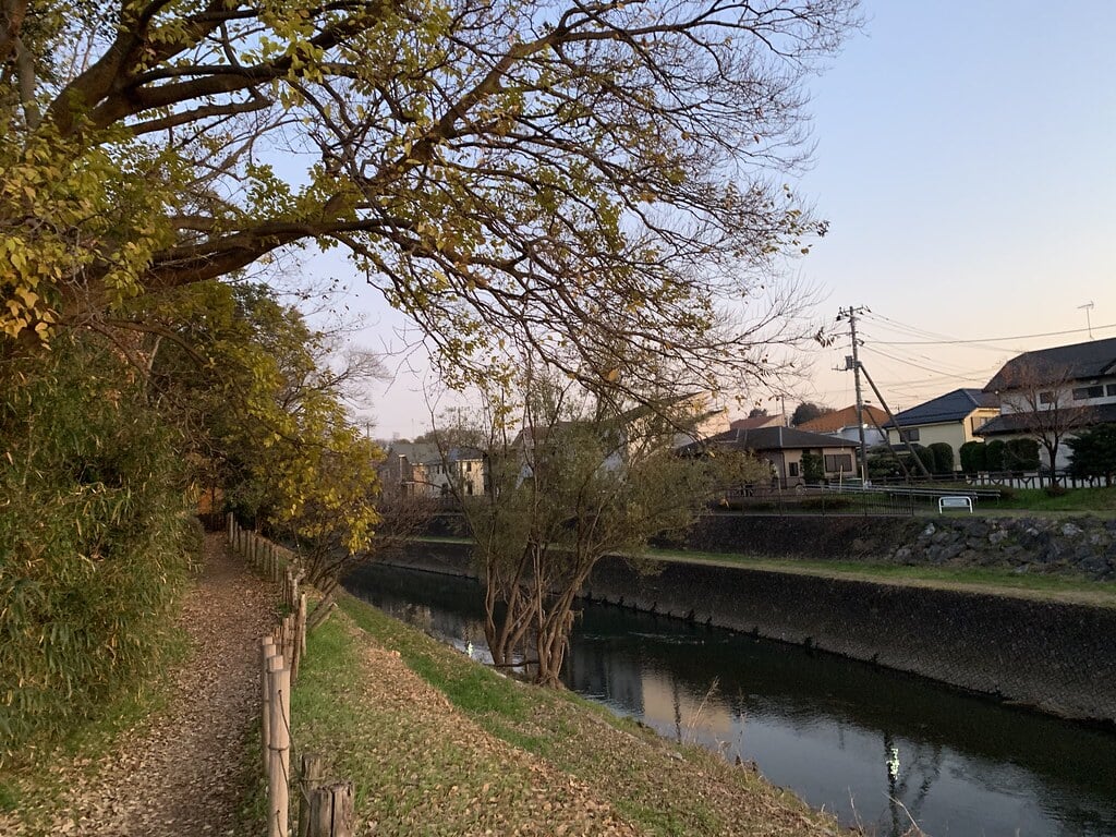 清瀬金山緑地公園の写真 ©Mikhail Kotykhov(CC BY 2.0)