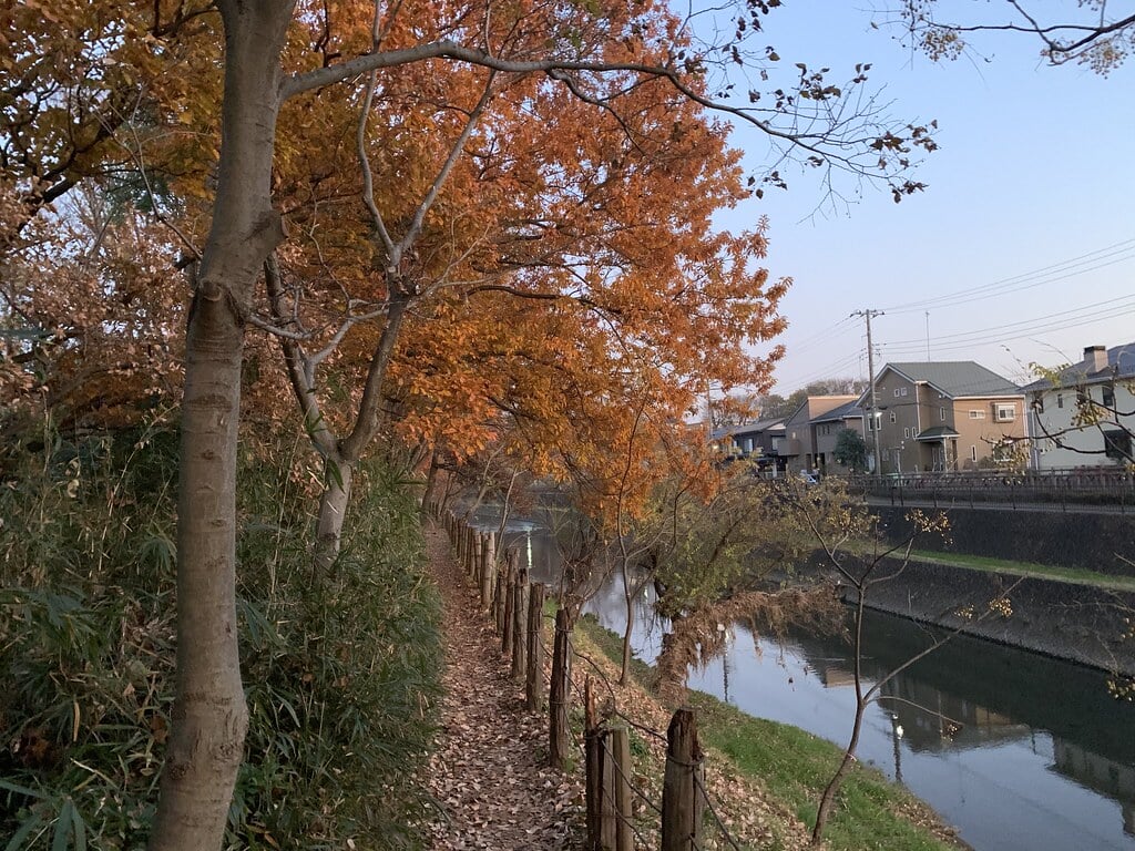 清瀬金山緑地公園の写真 ©Mikhail Kotykhov(CC BY 2.0)