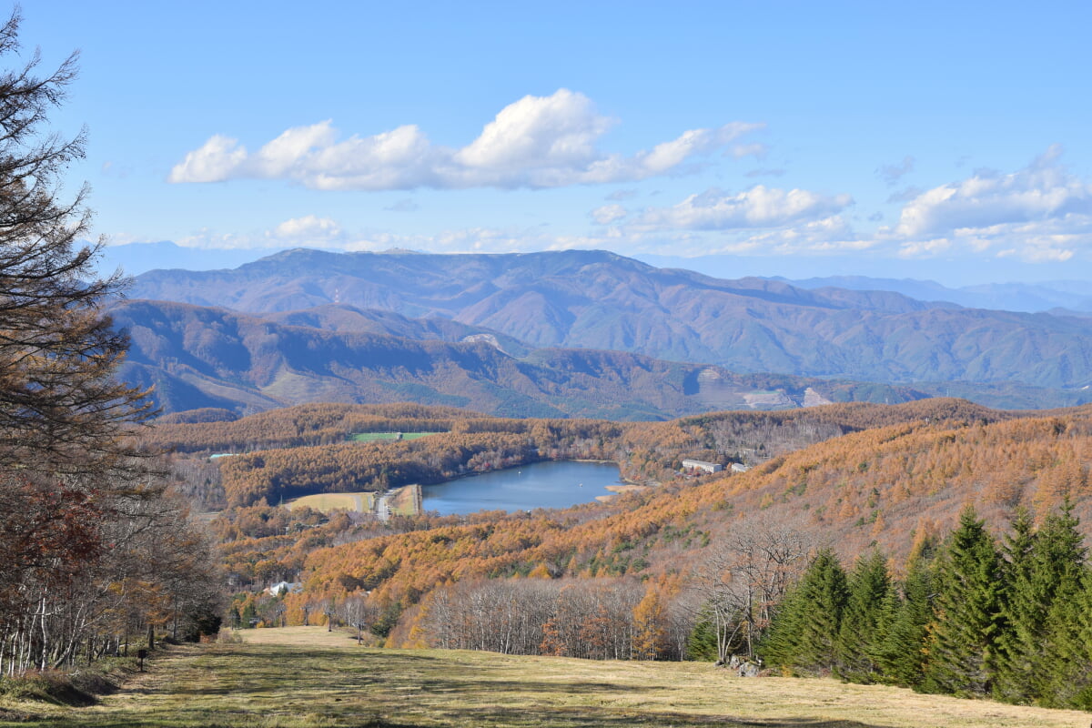 白樺高原国際スキー場の写真 ©Raita Futo from Tokyo, Japan(CC BY 2.0)