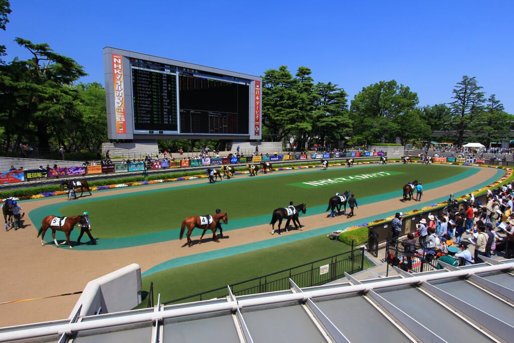 東京競馬場の写真 ©くろふね(CC BY 3.0)