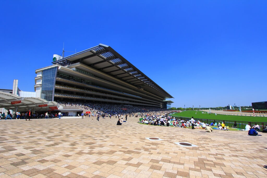 東京競馬場の写真 ©くろふね(CC BY 3.0)