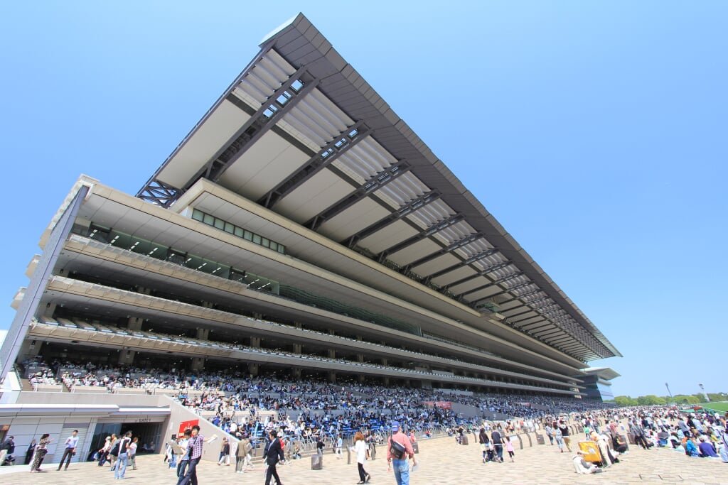 東京競馬場の写真 ©くろふね(CC BY 3.0)