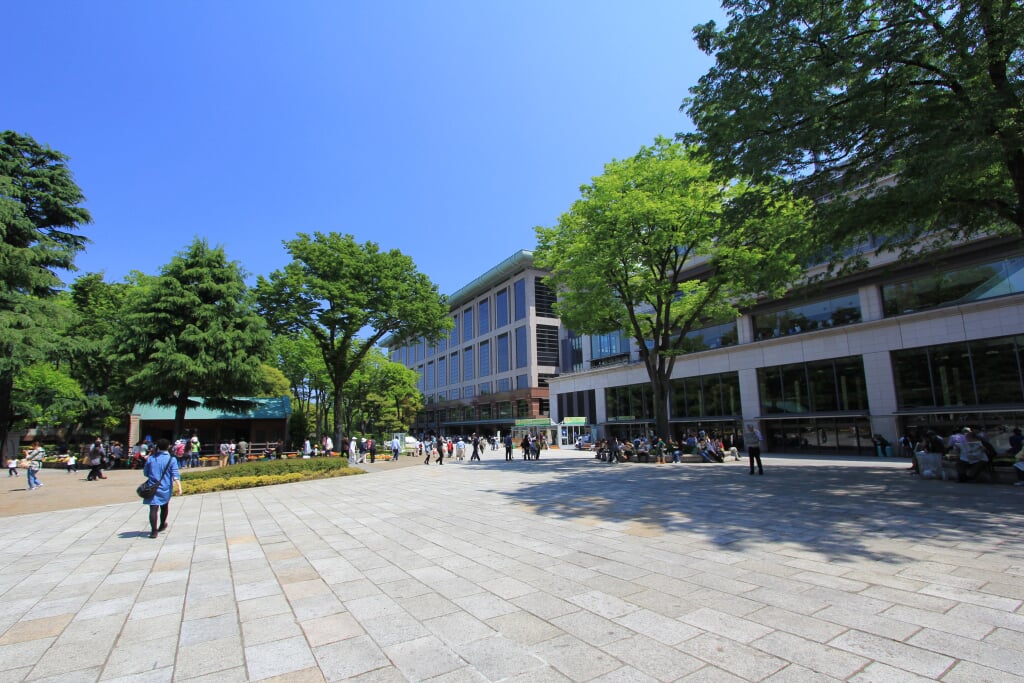 東京競馬場の写真 ©くろふね(CC BY 3.0)