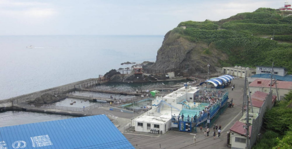 おたる水族館の写真 ©星組背番号10(CC BY-SA 3.0)