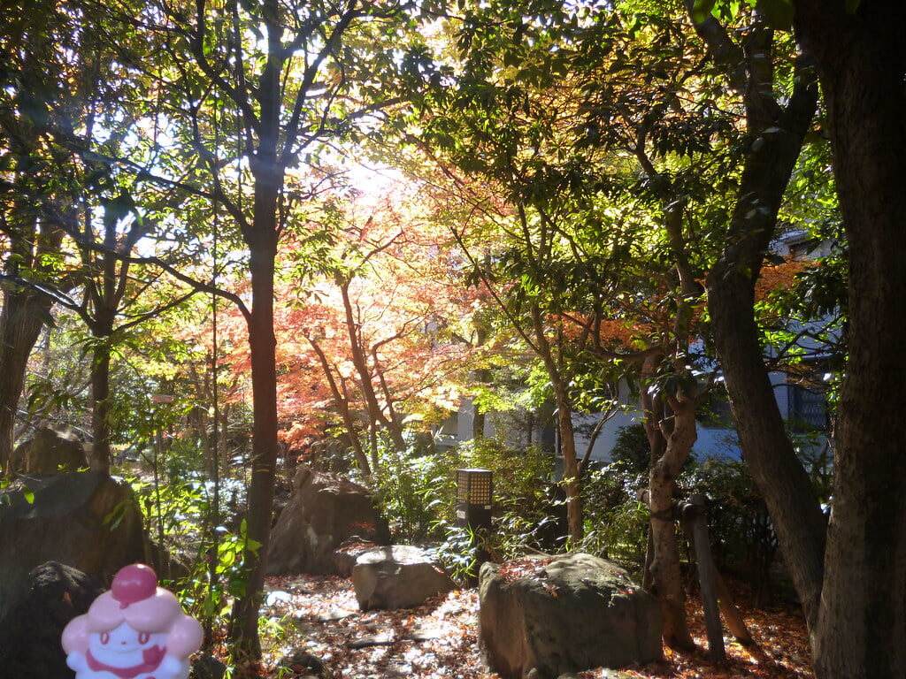 大横川親水公園の写真 ©Kasadera(CC BY 2.0)