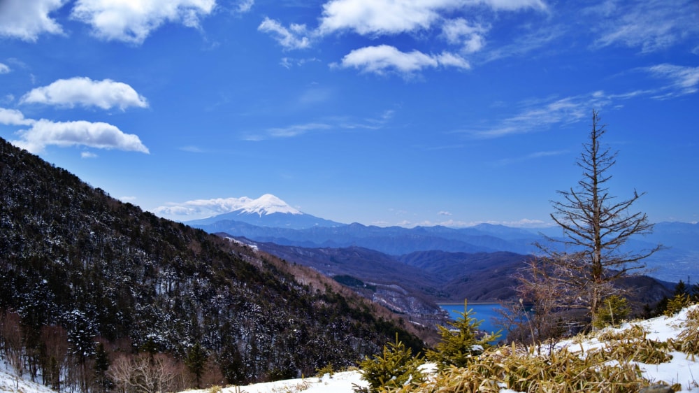 富士山の写真 