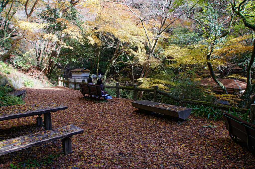 箕面公園の写真 ©663highland(CC-BY-SA-3.0)