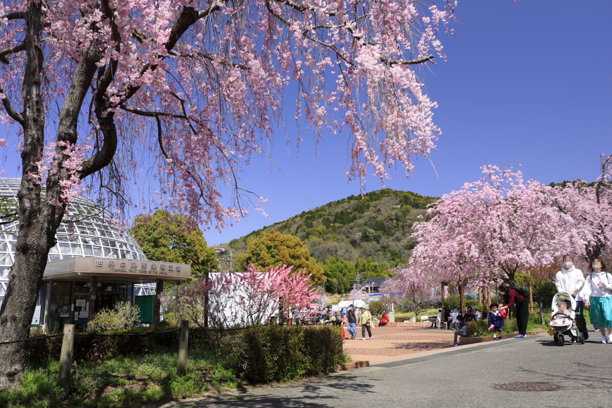 東谷山フルーツパークの写真 ©Tomio344456(CC BY-SA 4.0)