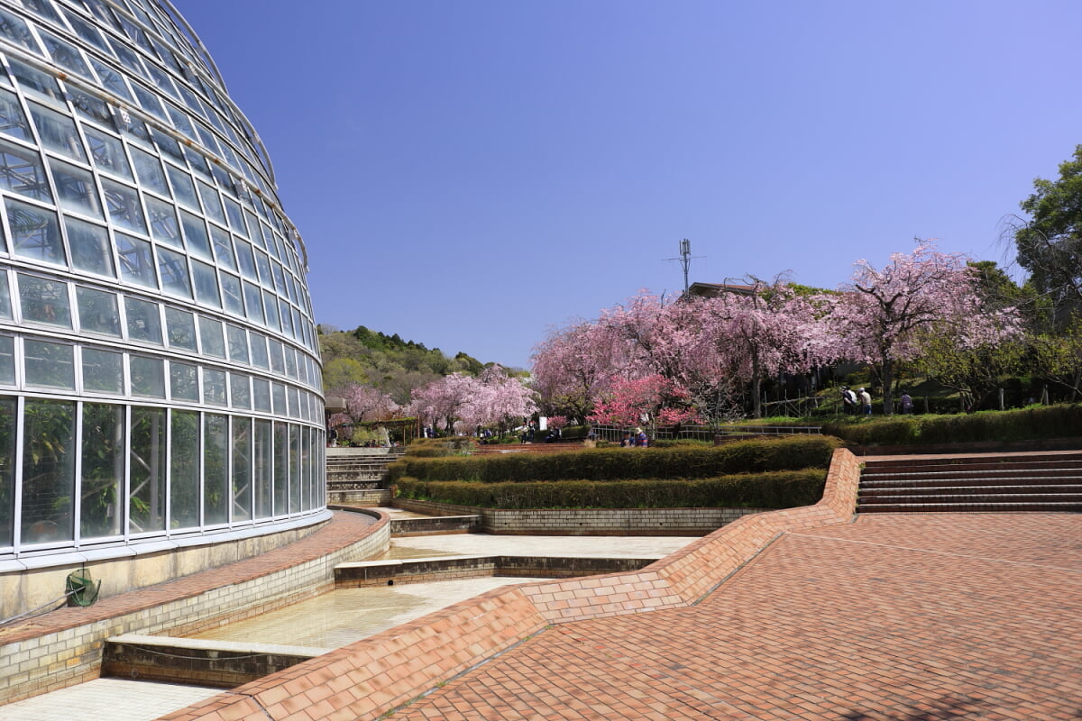 東谷山フルーツパークの写真 ©Tomio344456(CC BY-SA 4.0)