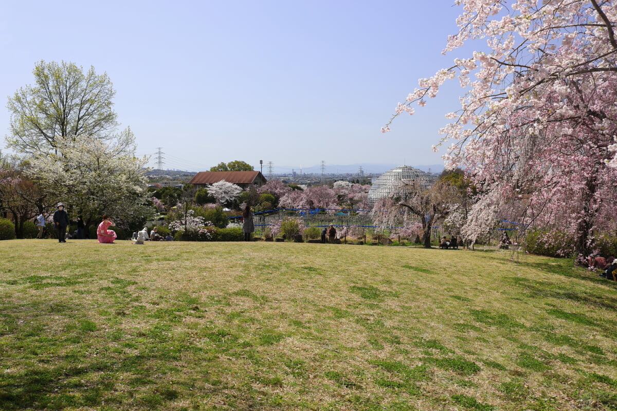 東谷山フルーツパークの写真 ©Tomio344456(CC BY-SA 4.0)