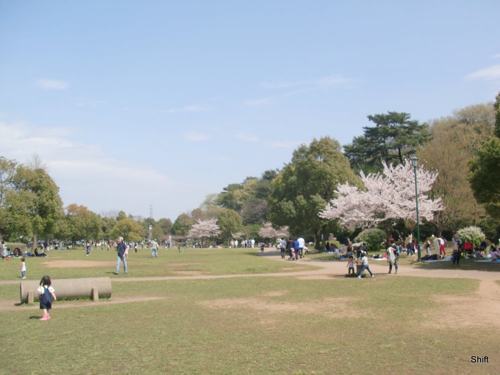 岩槻城址公園の写真 ©Shift(CC BY-SA 3.0)