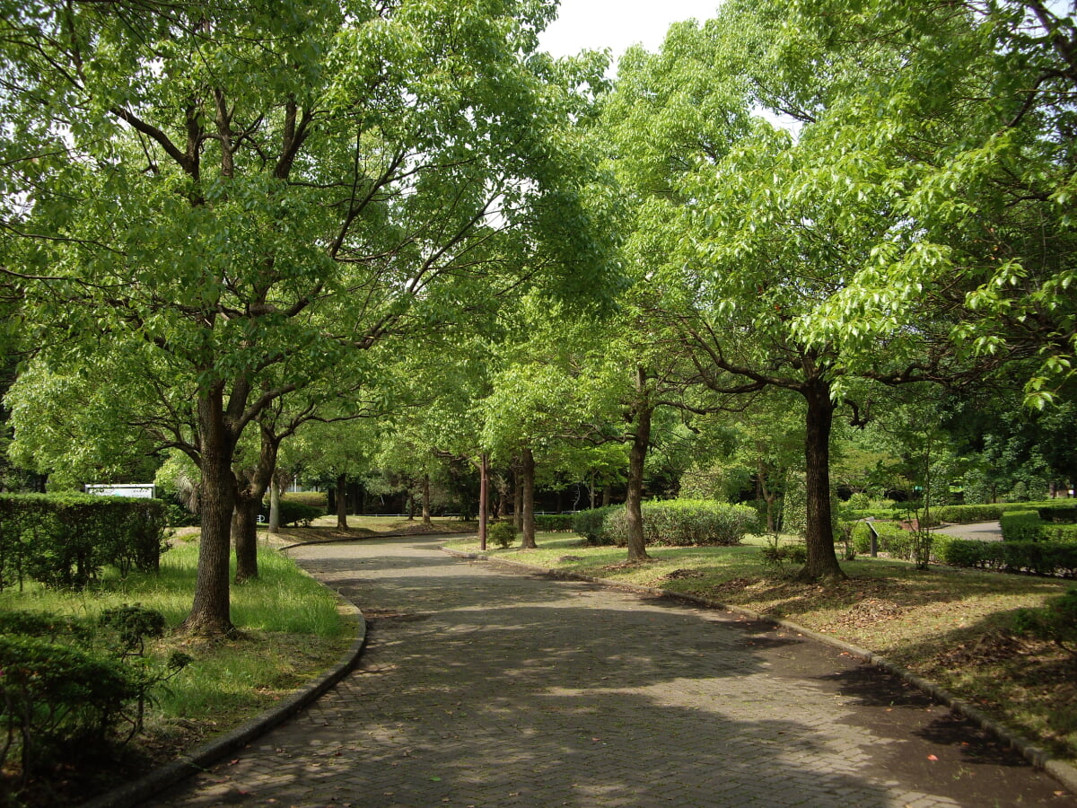 流山市総合運動公園の写真 ©Otherde(CC BY 3.0)