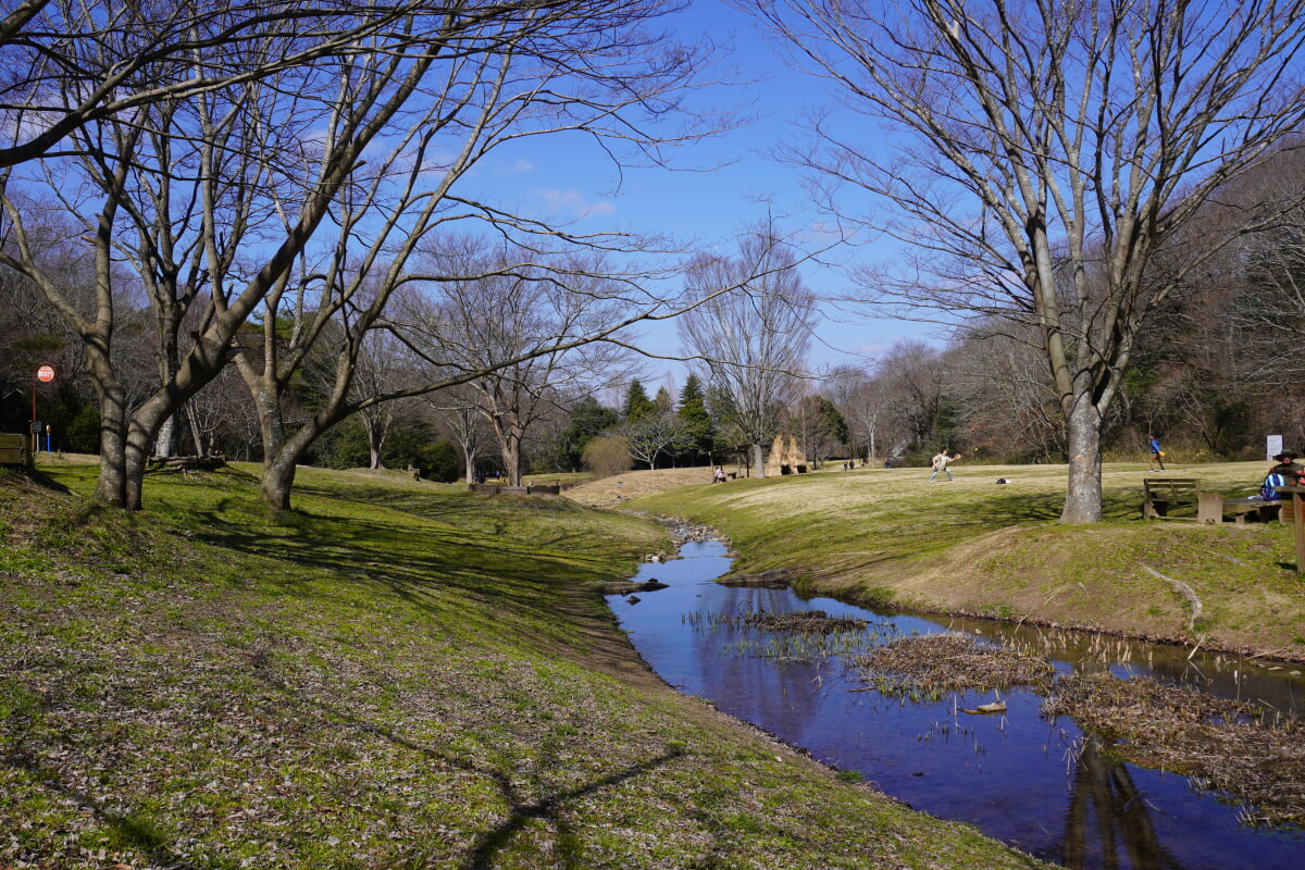 兵庫県立三木山森林公園の写真 