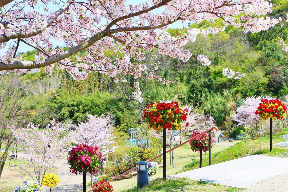 善通寺五岳の里 市民集いの丘公園の写真 