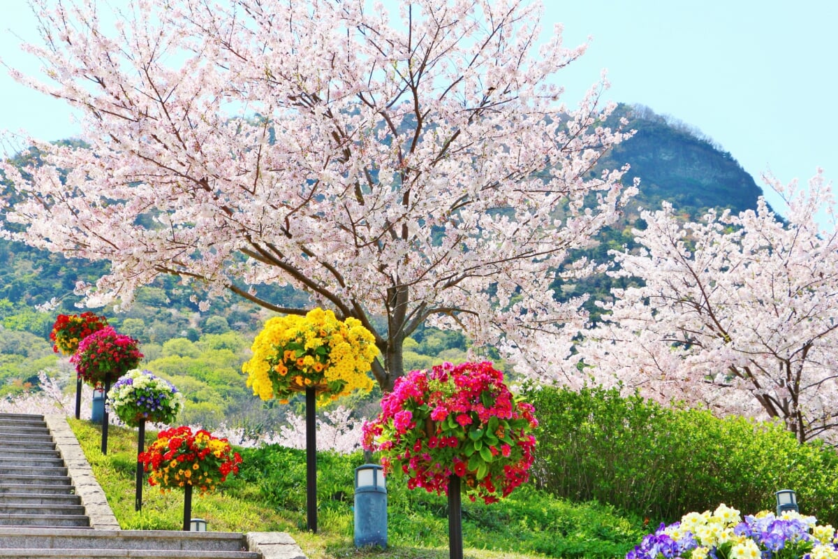 善通寺五岳の里 市民集いの丘公園の写真 