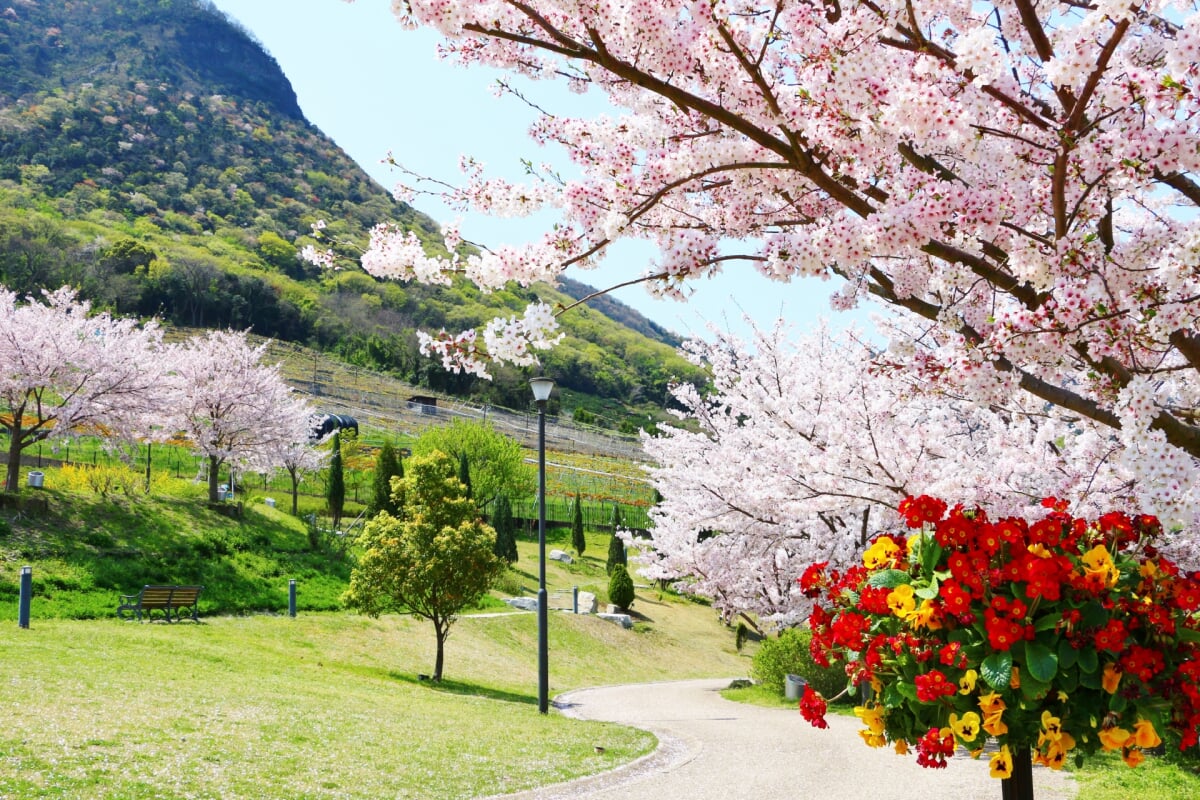 善通寺五岳の里 市民集いの丘公園の写真 