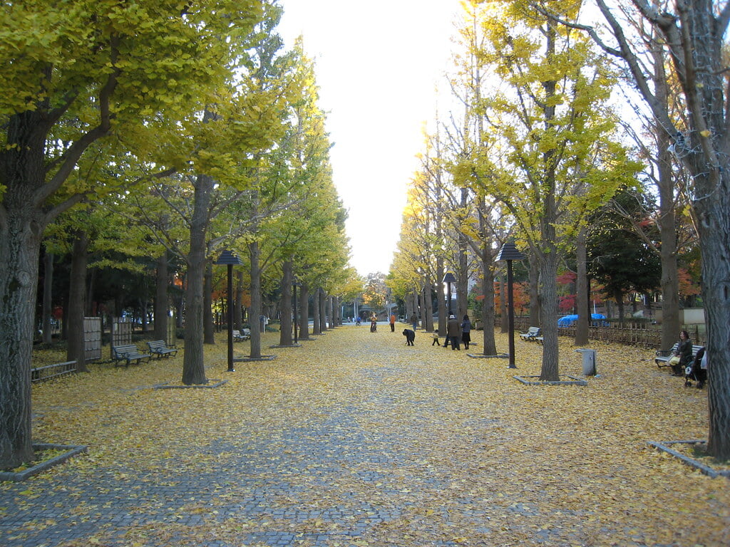 洞峰公園の写真 ©yellow_bird_woodstock(CC BY-SA 2.0)