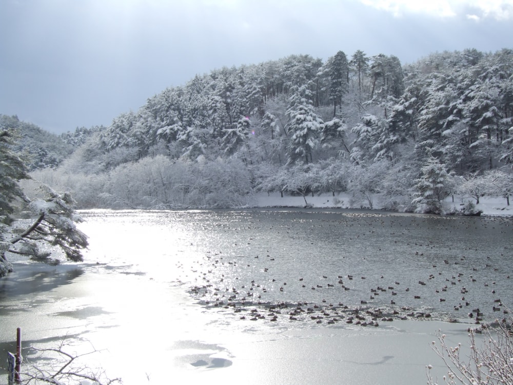 五十公野公園の写真 ©masugata(CC BY-SA 3.0)