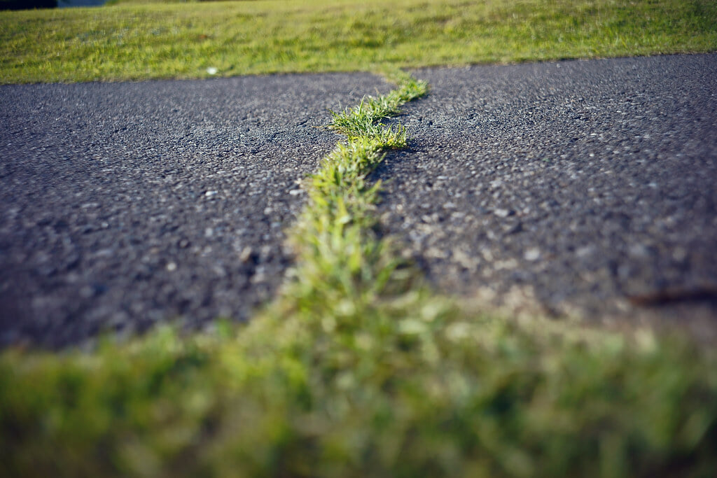 群馬の森の写真 ©haru__q(CC BY-SA 2.0)