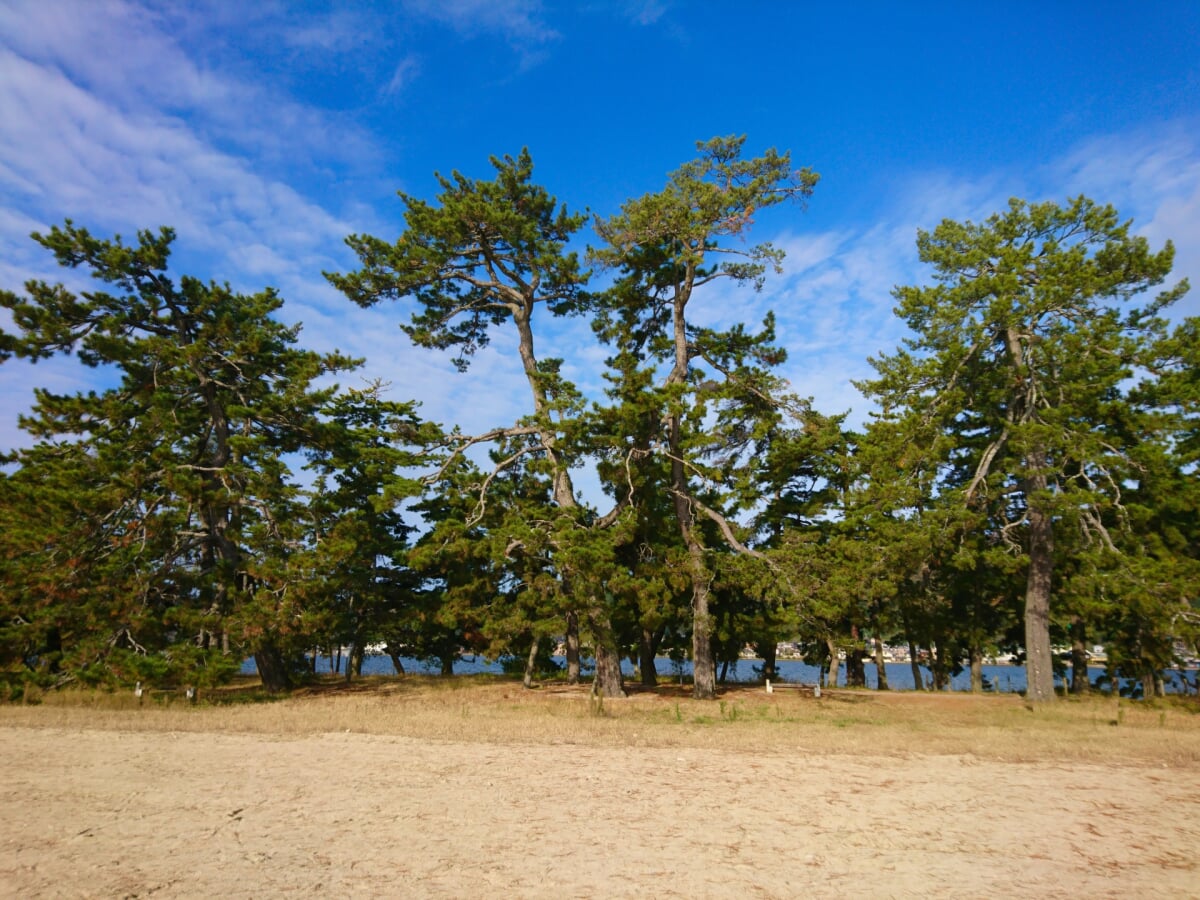 天橋立海水浴場の写真 