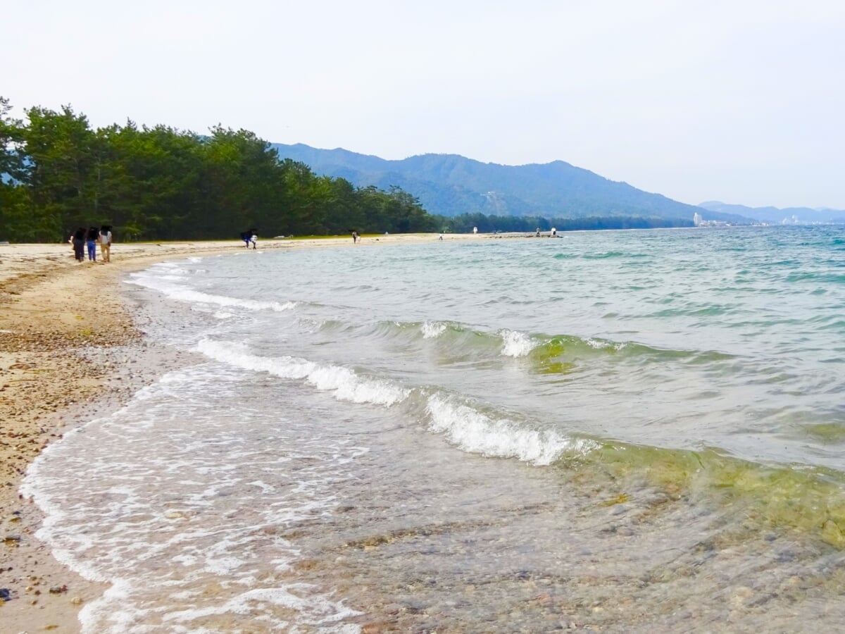 天橋立海水浴場の写真 