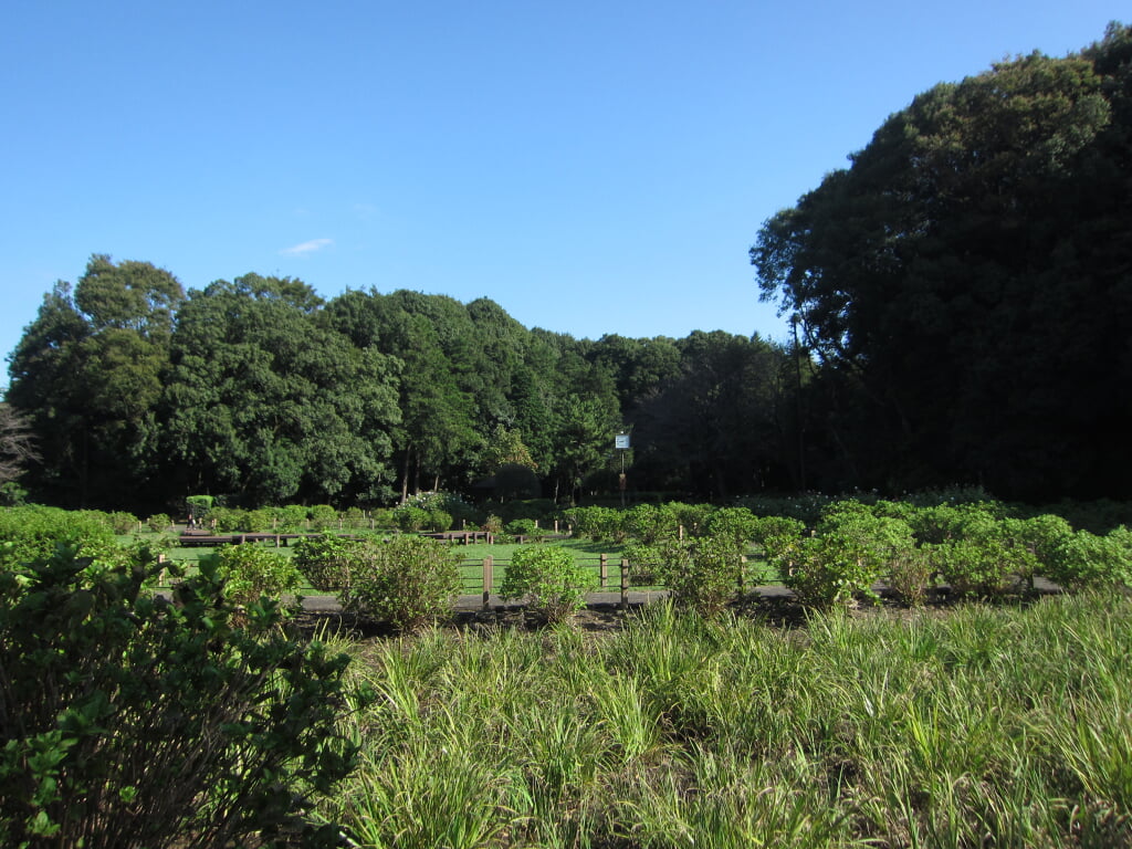 芹沢公園の写真 ©Necco128(CC BY-SA 4.0)