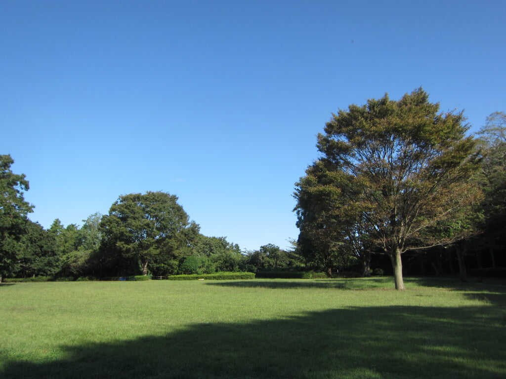 芹沢公園の写真 ©Necco128(CC BY-SA 4.0)