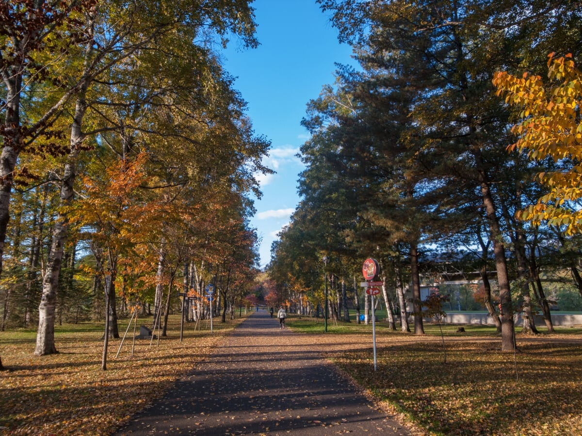 帯広市緑ヶ丘公園・グリーンパークの写真 