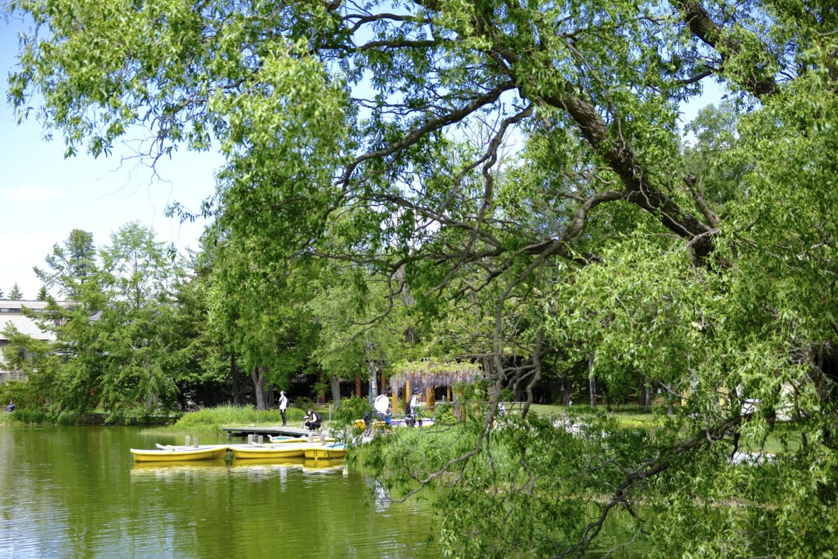 帯広市緑ヶ丘公園・グリーンパークの写真 