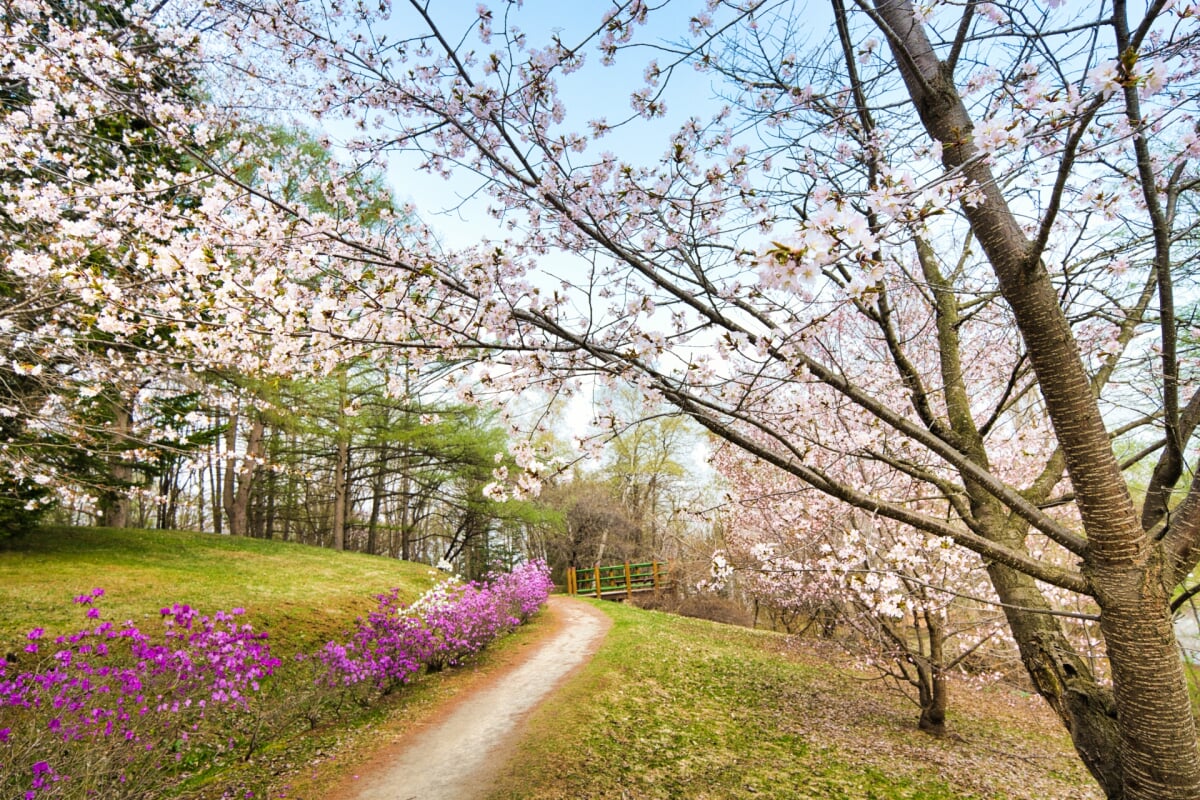 帯広市緑ヶ丘公園・グリーンパークの写真 