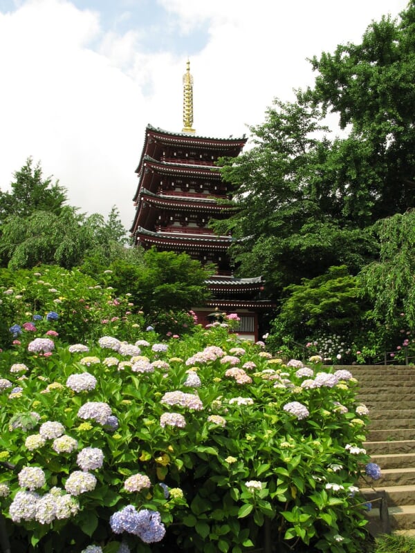 本土寺の写真 ©TANAKA Juuyoh (田中十洋)(CC BY 2.0)