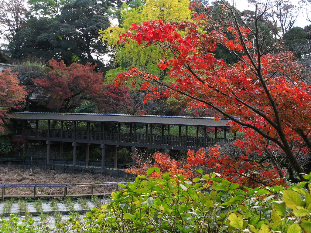 本土寺の写真 ©TANAKA Juuyoh (田中十洋)(CC BY 2.0)