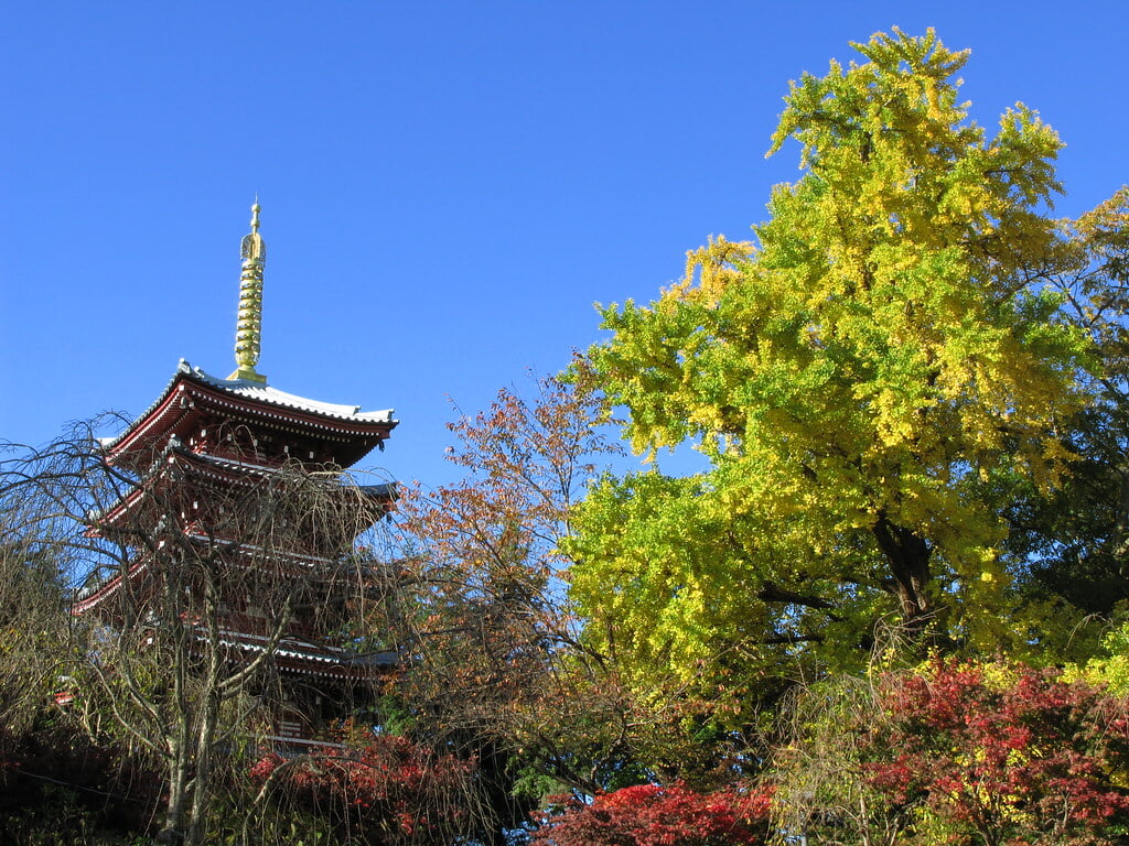 本土寺の写真 ©TANAKA Juuyoh (田中十洋)(CC BY 2.0)