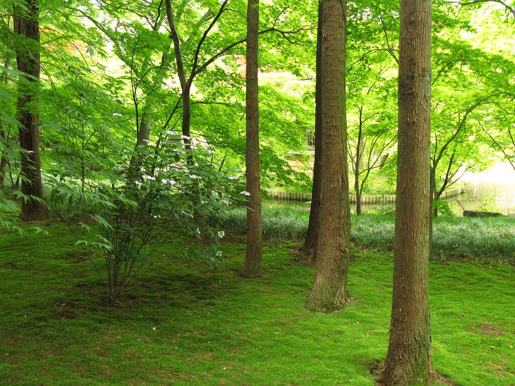 本土寺の写真 ©TANAKA Juuyoh (田中十洋)(CC BY 2.0)