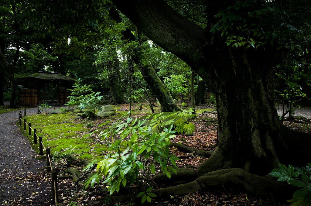 旧古河庭園の写真 ©t-miki(CC BY-ND 2.0)