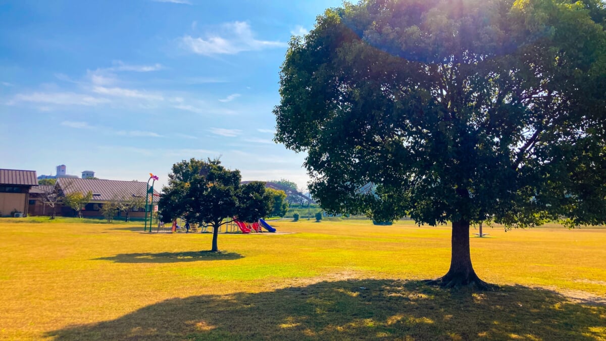 県営 筑後広域公園の写真 