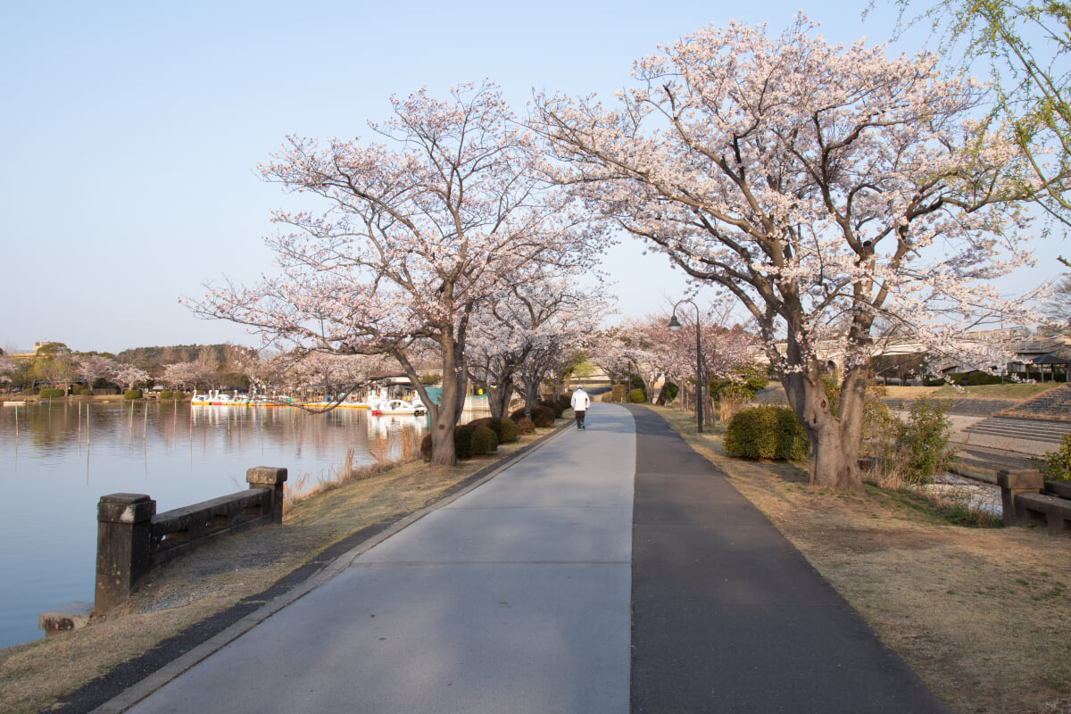 千波公園の写真 ©Σ64(CC BY 4.0)