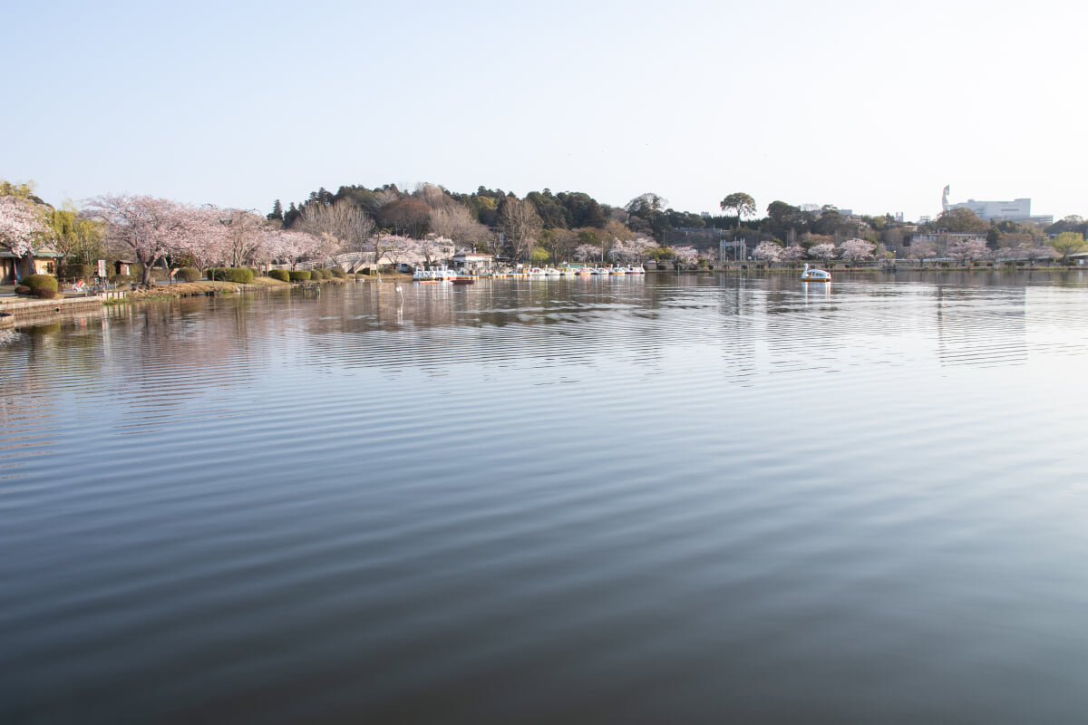 千波公園の写真 ©Σ64(CC BY 4.0)