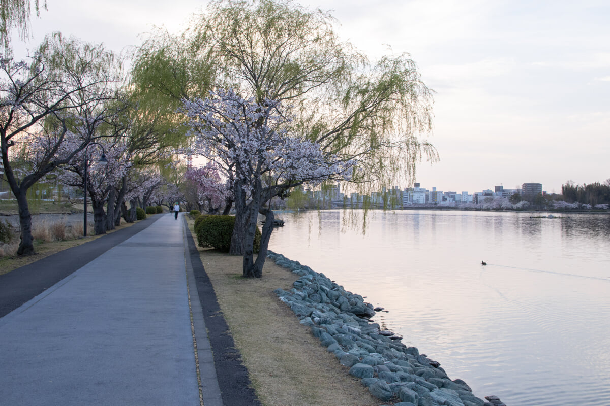 千波公園の写真 ©Σ64(CC BY 4.0)