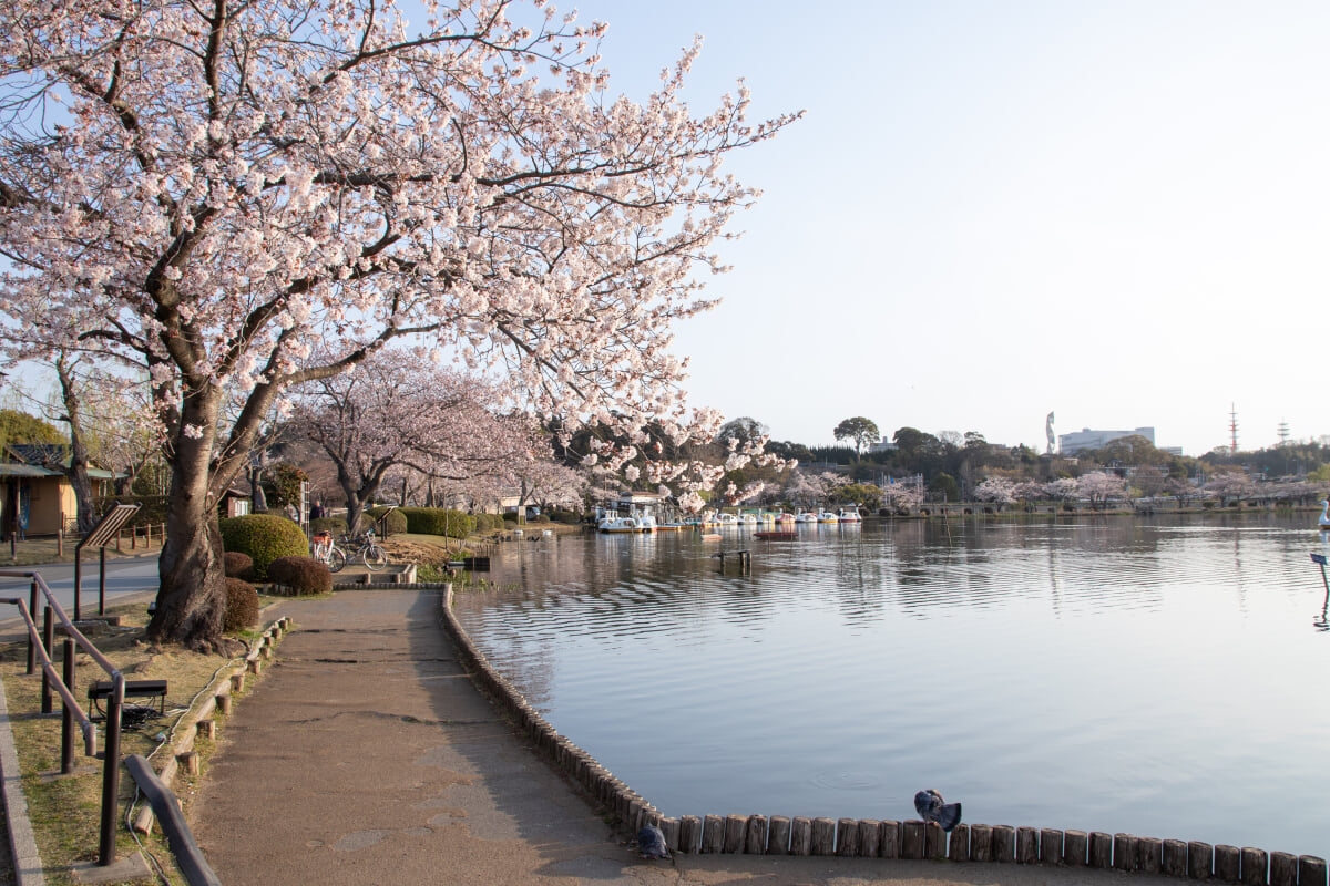 千波公園の写真 ©Σ64(CC BY 4.0)