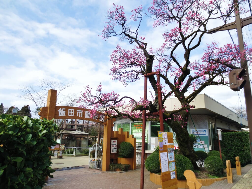 飯田市立動物園の写真 ©Qurren(CC BY-SA 3.0)