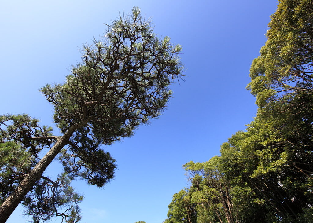 県立幕張海浜公園の写真 ©TANAKA Juuyoh (田中十洋)(CC BY 2.0)